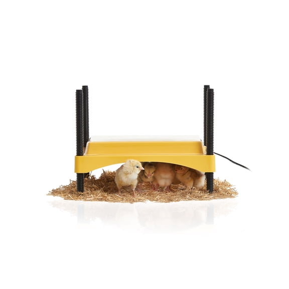 Brinsea EcoGlow Safety 600 Chick Brooder with Clear Plastic Cover