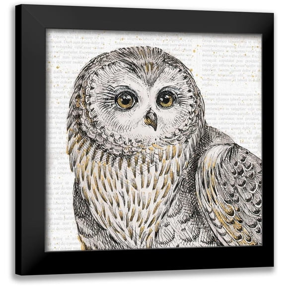 Brissonnet, Daphne 12x12 Black Modern Framed Museum Art Print Titled - Beautiful Owls II