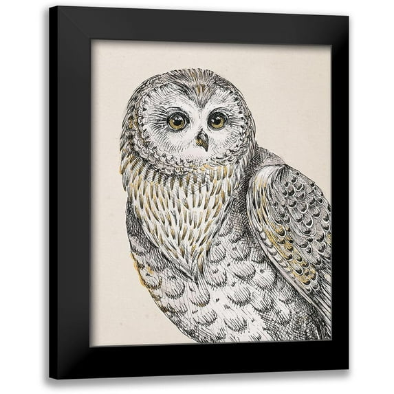 Brissonnet, Daphne 12x14 Black Modern Framed Museum Art Print Titled - Beautiful Owls IV Vintage