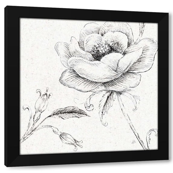 Daphne Brissonnet 15x15 Black Modern Wood Framed Wall Art Titled - Blossom Sketches II