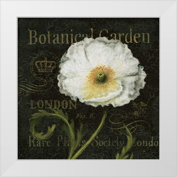 Brissonnet, Daphne 15x15 White Modern Wood Framed Museum Art Print Titled - Botanical Garden II