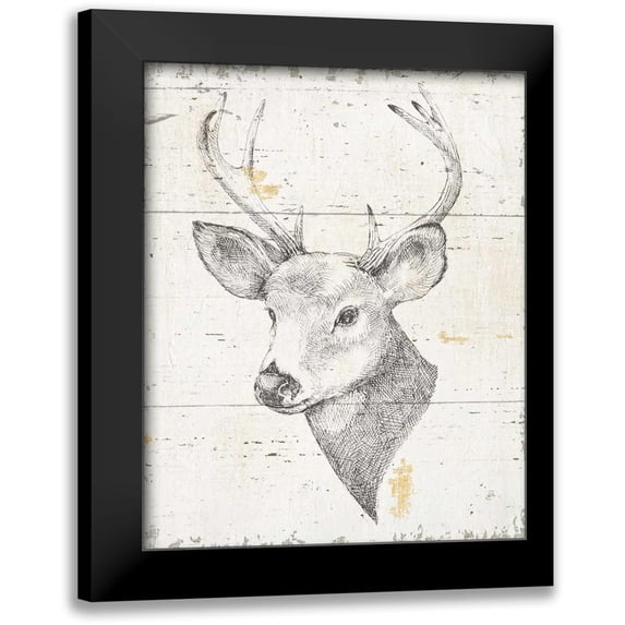 Brissonnet, Daphne 15x18 Black Modern Framed Museum Art Print Titled - Wild and Beautiful II
