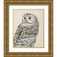 thumbnail image 1 of Brissonnet, Daphne 15x18 Gold Ornate Wood Framed with Double Matting Museum Art Print Titled - Beautiful Owls III Vintage, 1 of 4