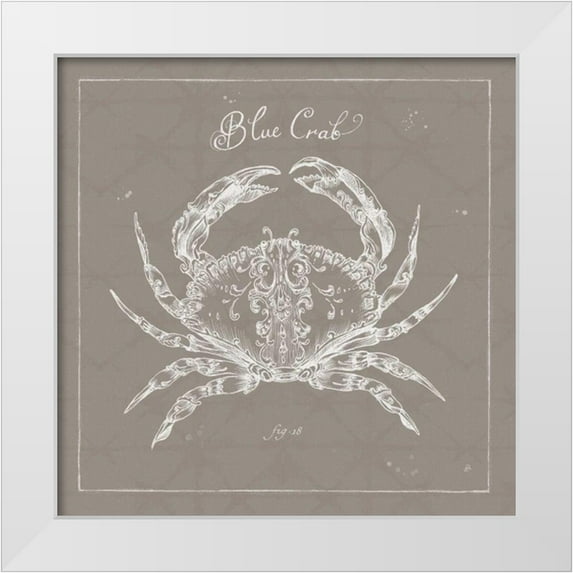 Brissonnet, Daphne 20x20 White Modern Wood Framed Museum Art Print Titled - Underwater Life XII Greige