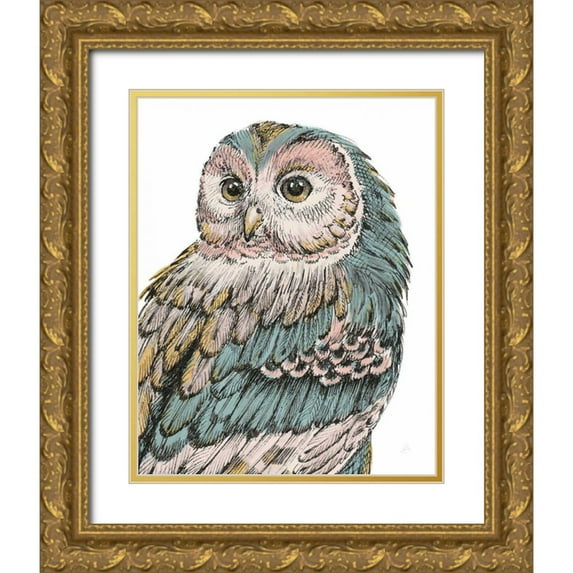 Brissonnet, Daphne 20x24 Gold Ornate Wood Framed with Double Matting Museum Art Print Titled - Beautiful Owls I Pastel