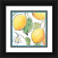 thumbnail image 1 of Brissonnet, Daphne 26x26 Black Ornate Wood Framed with Double Matting Museum Art Print Titled - Mediterranean Breeze XVI, 1 of 4