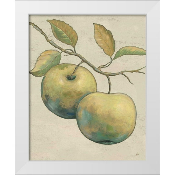 Brissonnet, Daphne 26x32 White Modern Wood Framed Museum Art Print Titled - Lovely Fruits II Neutral Plain