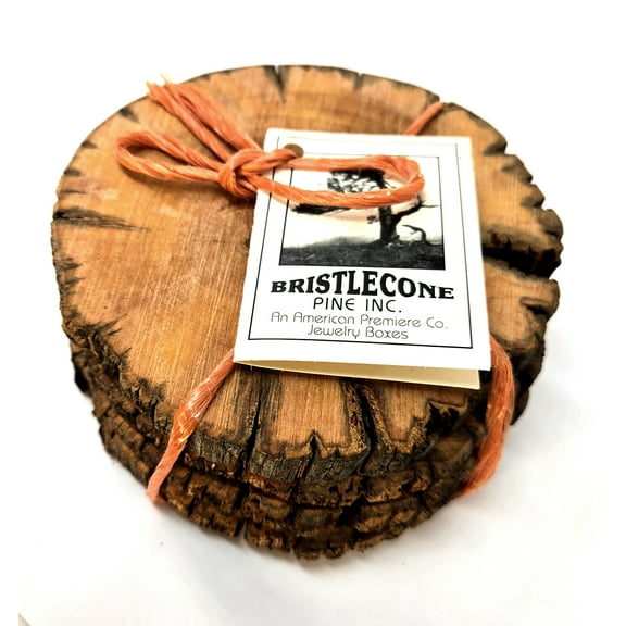 Bristlecone Pine Drink Coasters - Handcrafted Bristlecone Pine 100's Years Old