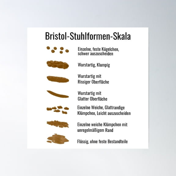 Bristol Stool Chart In German Poster Wall Art, Modern Wall Decor, 12x18 UNFRAMED