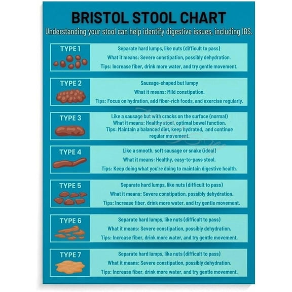 Bristol Stool Chart Poop Chart Poster (1) Canvas for Bedroom Living Room Decor poster