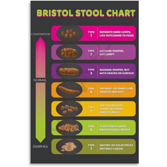 Bristol Stool Chart Poster Digestive Health Bathroom Funny Medical Wall Art, Poster Only