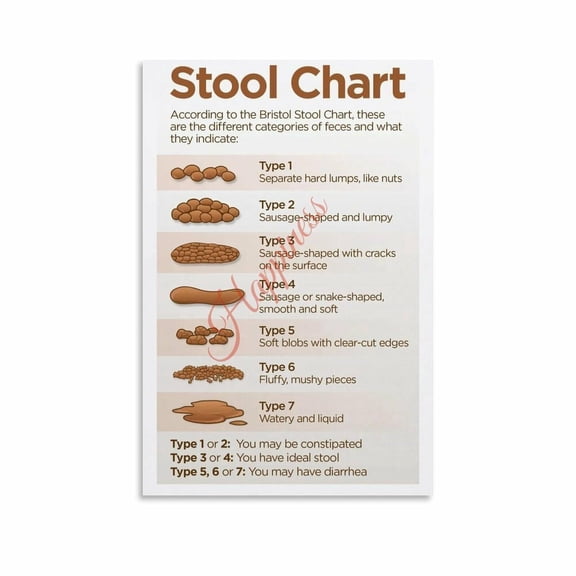 Bristol Stool Chart Poster Digestive Health Bowel Movement Guide (1) Canvas for Living Room Bedroom Decor