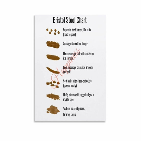 Bristol Stool Chart Poster Digestive Health Bowel Movement Guide (12) Canvas for Living Room Bedroom Decor