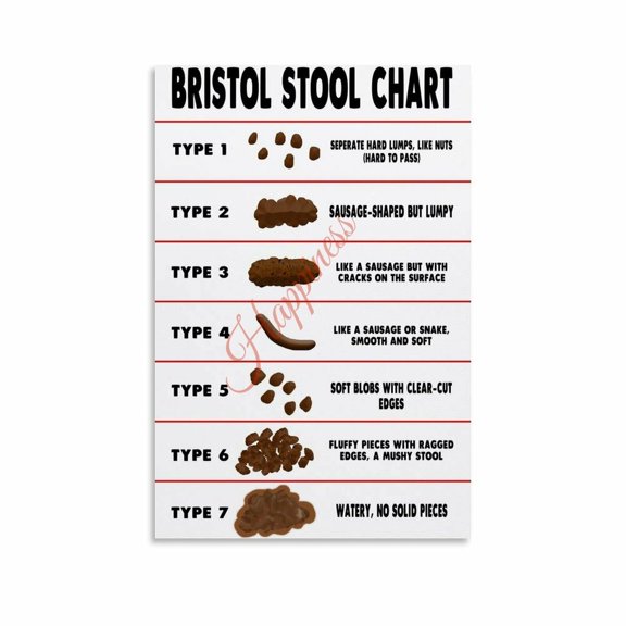 Bristol Stool Chart Poster Digestive Health Bowel Movement Guide (14) Canvas for Living Room Bedroom Decor