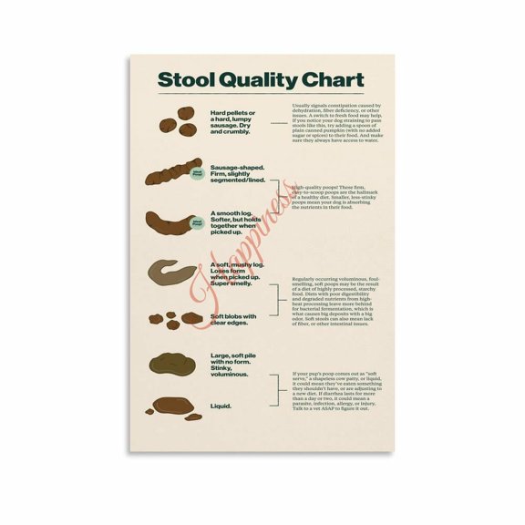 Bristol Stool Chart Poster Digestive Health Bowel Movement Guide (18) Canvas for Living Room Bedroom Decor