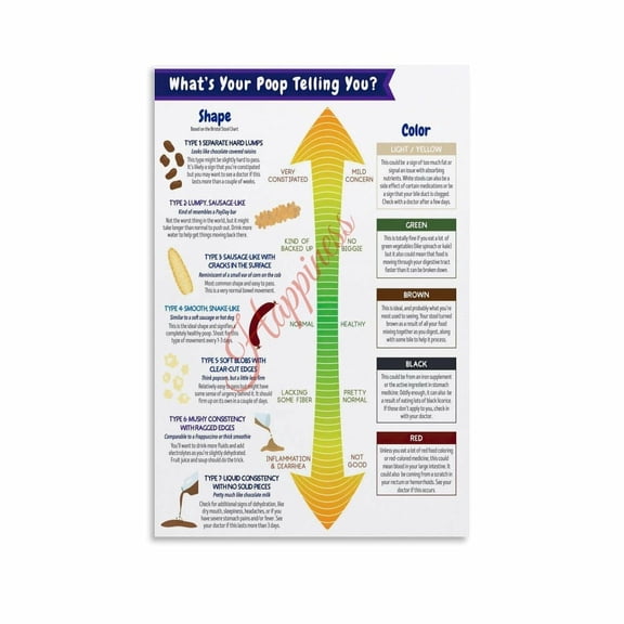 Bristol Stool Chart Poster Digestive Health Bowel Movement Guide (20) Canvas for Living Room Bedroom Decor