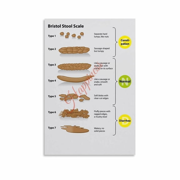 Bristol Stool Chart Poster Digestive Health Bowel Movement Guide (3) Canvas for Living Room Bedroom Decor