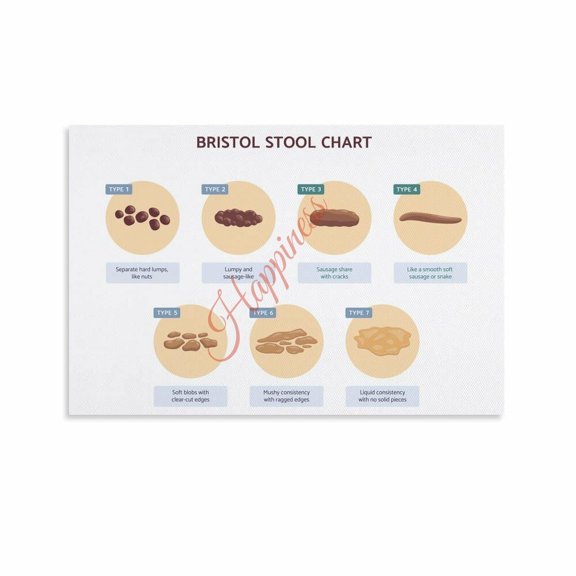 Bristol Stool Chart Poster Digestive Health Bowel Movement Guide (5) Canvas for Living Room Bedroom Decor