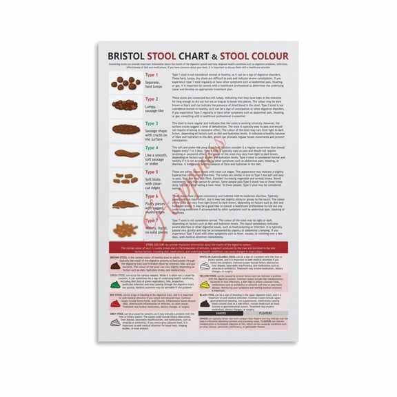 Bristol Stool Chart Poster Digestive Health Bowel Movement Guide (8) Canvas for Living Room Bedroom Decor