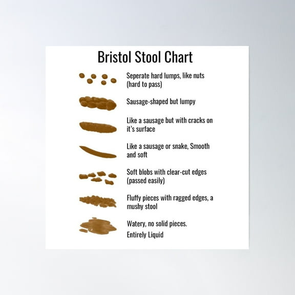 Bristol Stool Chart Poster Wall Art, Modern Wall Decor, 16x16 UNFRAMED