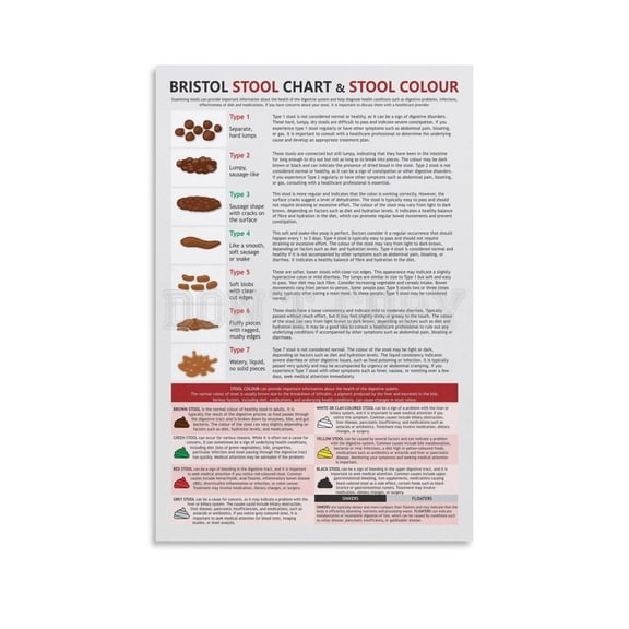 Bristol Stool Chart Poster,stool Health Poster Canvas Painting Wall Art Poster for Bedroom Living Room Decor