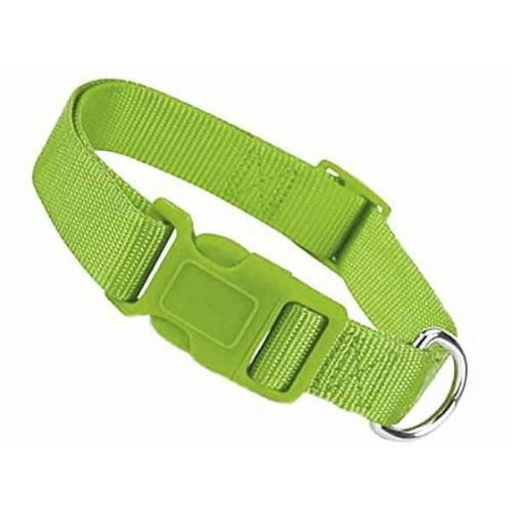 Brite Color Nylon Collars for Dogs - 11 Fun Colors 4 Sizes Bright Dog Collar (Large Parrot Green)