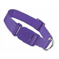 thumbnail image 1 of Brite Color Nylon Collars for Dogs - 11 Fun Colors 4 Sizes Bright Dog Collar (Medium Ultra Violet), 1 of 1