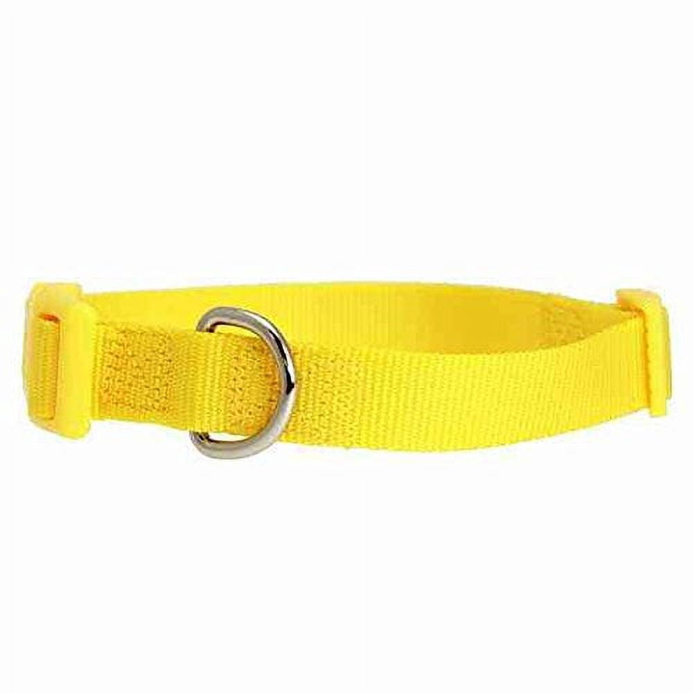 Brite Color Nylon Collars for Dogs - 11 Fun Colors 4 Sizes Bright Dog ...
