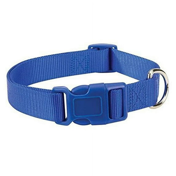 Brite Color Nylon Collars for Dogs - 11 Fun Colors 4 Sizes Bright Dog Collar (xSmall Nautical Blue)
