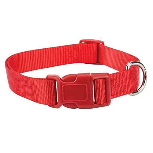 Brite Color Nylon Collars for Dogs 11 Fun Colors 4 Sizes Bright