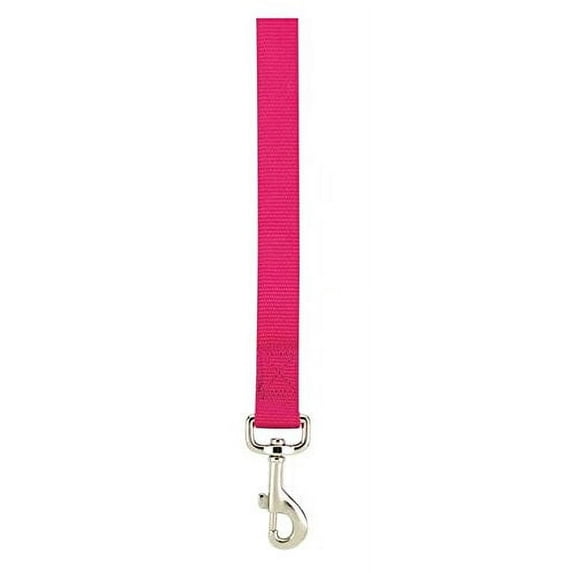 Brite Color Nylon Leads for Dogs Choose From 11 Colors 3 Sizes Dog Leash Lead (Medium - Raspberry Sorbet)