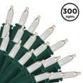 thumbnail image 1 of Brite Star 300 Lt String To String Lights, Clear, Green Wire, 1 of 13