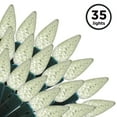 thumbnail image 1 of Brite Star 35 Lt C6 Faceted Led Light Set, Warm White, 1 of 4