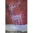 thumbnail image 1 of Brite Star 48 inch tall Reindeer Buck Christmas Outdoor Decorations - LED Light Christmas Decoration for Indoor and Outdoor, 1 of 5