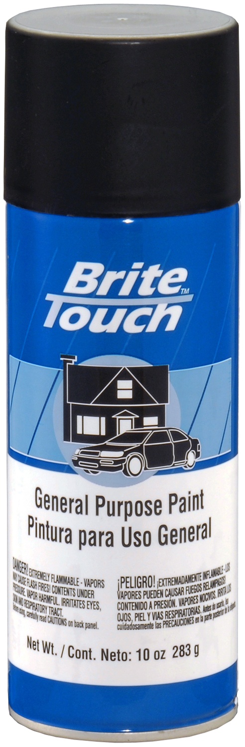 Brite Touch  Automotive & General Purpose Paint Flat Black 10 oz. Aerosol