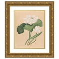 thumbnail image 1 of British 19th Century 20x24 Gold Ornate Framed and Double Matted Museum Art Print Titled - East Indian Lotus (Nelumbo Nucifera) (Late 19th Century), 1 of 4
