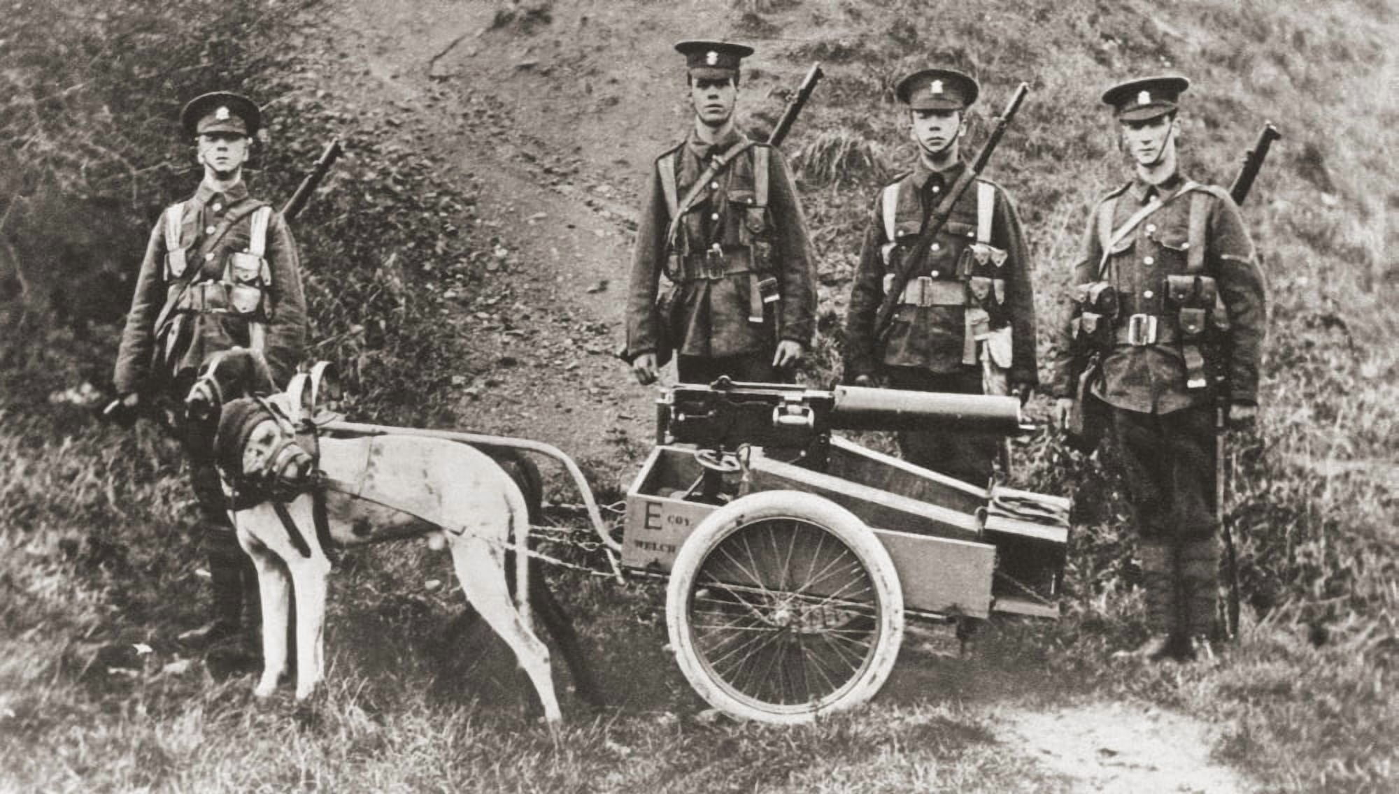 British Army Using Dogs To Pull A Machine Gun During World War I From The Illustrated War News 1915 Canvas Art - Ken Welsh Design Pics (38 x 22)