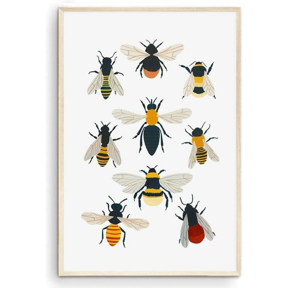 British Bee Species Print, Bumblebee Wall Art, Kids Room Decor, Bugs Animal Art, School, Kids Room - (Unframed, 11 x 14 inches)