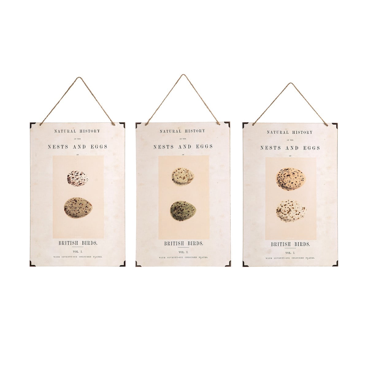 British Eggs Easter Spring Wall Art Set of 3