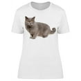 thumbnail image 1 of British Breed About To Sit T-Shirt Women -Image by Shutterstock, Female 3X-Large, 1 of 2