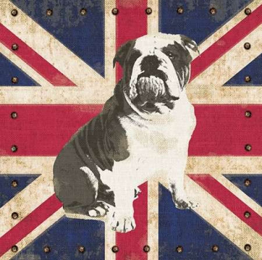 British Bulldog Canvas Art - Sam Appleman (24 x 24)