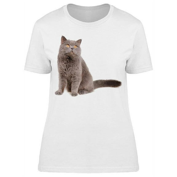 British Cat Sits And Looks T-Shirt Women -Image by Shutterstock, Female Small
