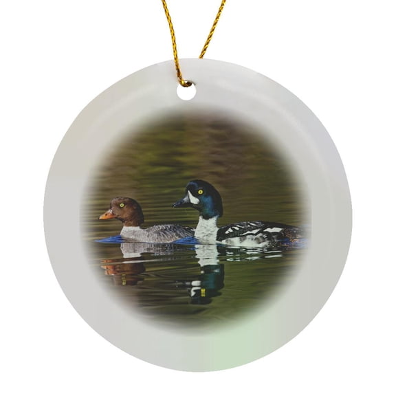 3drose, British Columbia, Near Kamloops, Common Goldeneye Ducks-cn02 Ldi0007 - Larry Ditto, Circle Porcelain Ornament