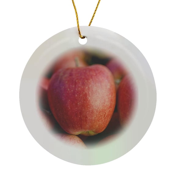 3drose, British Columbia. Okanagan Valley. Gala Apples-cn02 Rti0070 - Rob Tilley, Circle Porcelain Ornament