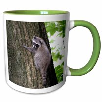 3drose, British Columbia, Portland Island. Small Raccoon in a Tree, 11oz Two-tone Green Mug