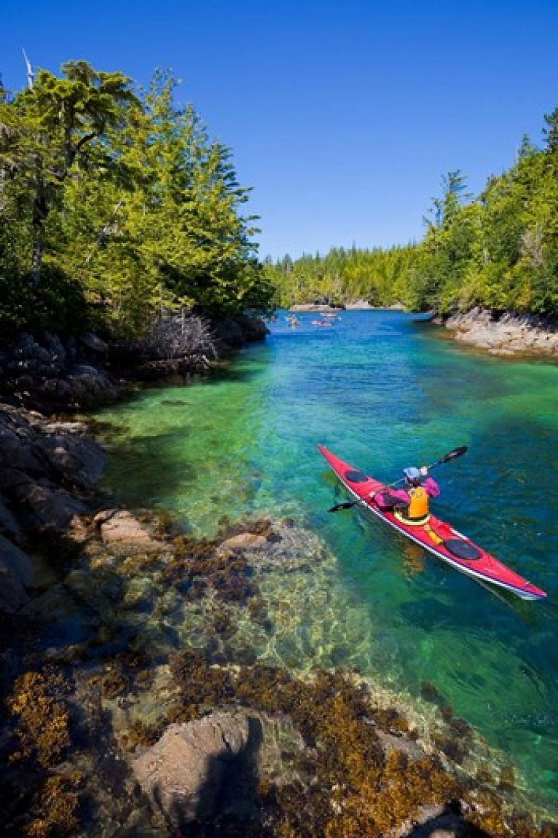British Columbia Vancouver Island Sea kayakers Canvas Art - Gary Luhm DanitaDelimont (18 x 26)