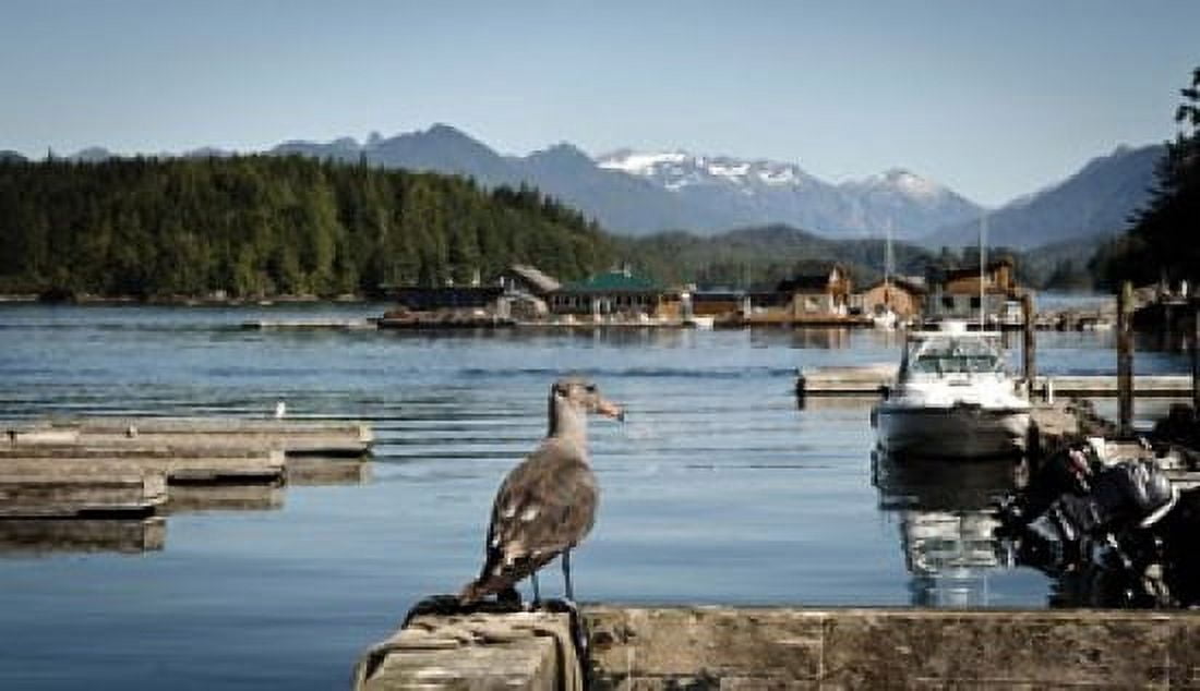 British Columbia Vancouver Island Strathcona Park Harbor Canvas Art - Matt Freedman DanitaDelimont (20 x 12)