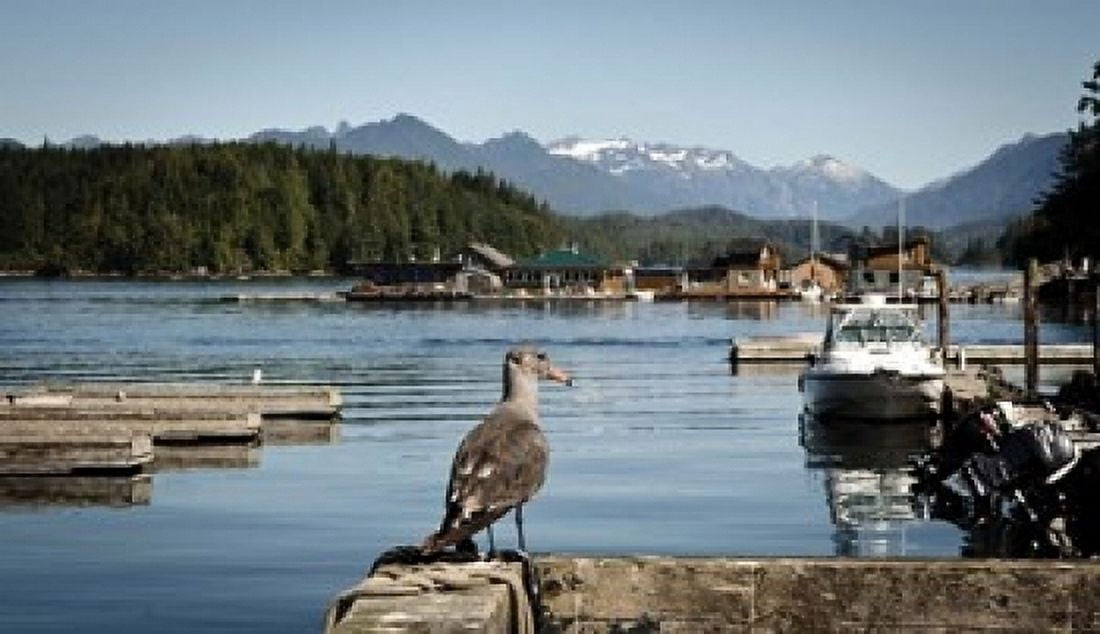 British Columbia Vancouver Island Strathcona Park Harbor Canvas Art - Matt Freedman DanitaDelimont (32 x 18)