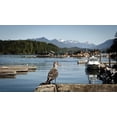 thumbnail image 1 of British Columbia, Vancouver Island, Strathcona Park, Harbor Poster Print by Matt Freedman (20 x 12), 1 of 1