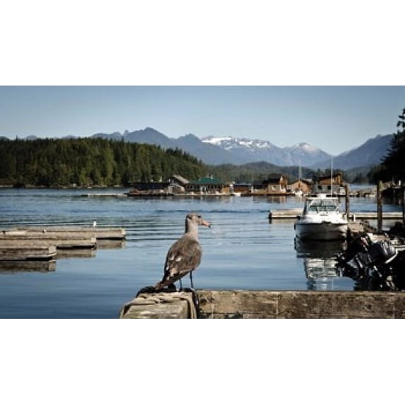 British Columbia, Vancouver Island, Strathcona Park, Harbor Poster Print by Matt Freedman (20 x 12)